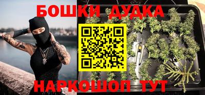 индика Бердск