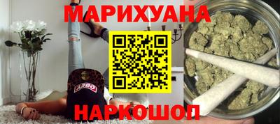 индика Бердск
