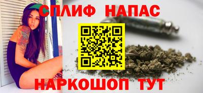 индика Бердск