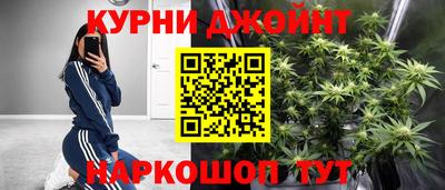 индика Бердск