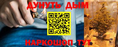 индика Бердск