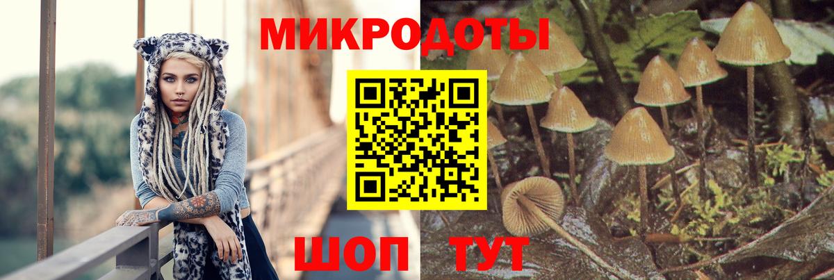 Галлюциногенные грибы Magic Shrooms Вольск